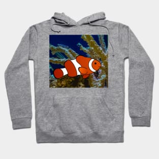 Clownfish Hoodie